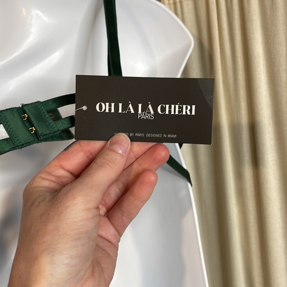 NWT- 3 PC SILKY GREEN LACE LINGERIE SET BRA, HIGH WAISTED G THONG & GARTER L/XL - Picture 8 of 13